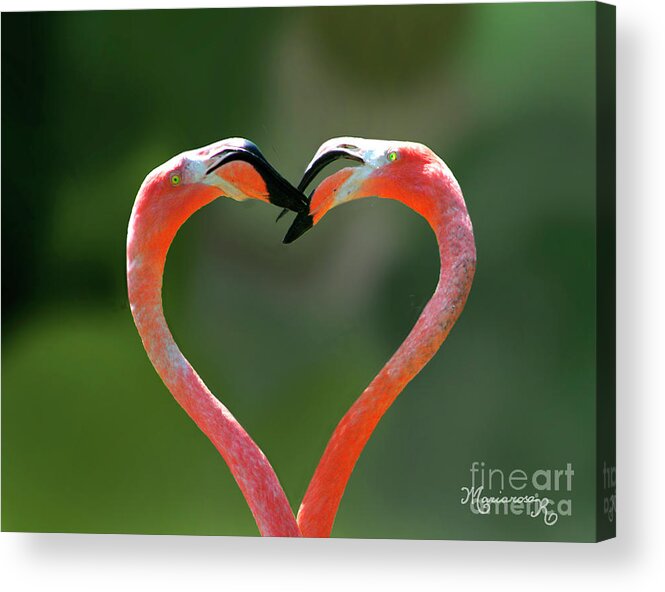 Nature Acrylic Print featuring the photograph Love Is In The Air by Mariarosa Rockefeller