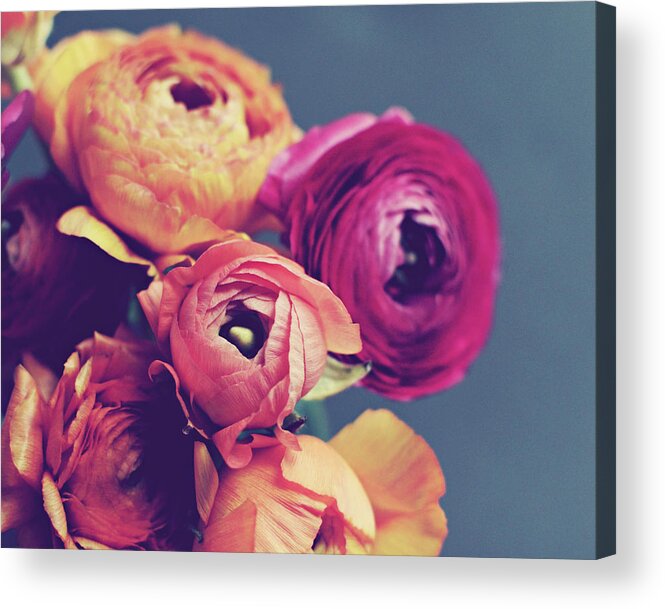 Ranunculus Acrylic Print featuring the photograph Loveliness by Lupen Grainne