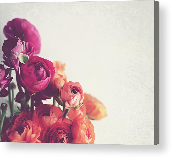 Ranunculus Acrylic Print featuring the photograph Lovely Day by Lupen Grainne