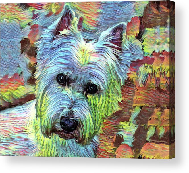 Westie Acrylic Print featuring the painting Modern Westie Portrait by Portraits By NC