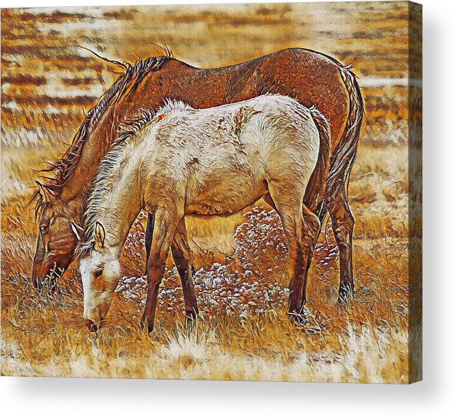 Stallions Acrylic Print featuring the digital art Mother and Child by Jerry Cahill