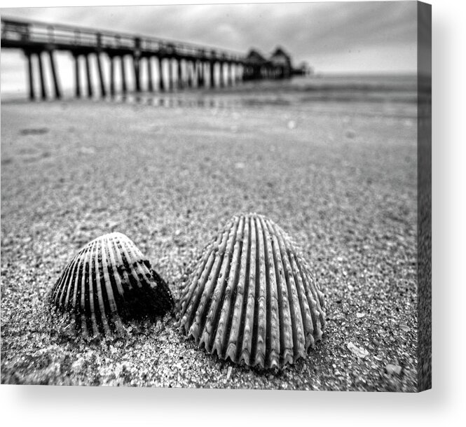 Naples Acrylic Print featuring the photograph Naples Pier Seashells Naples FL Florida Black and White by Toby McGuire