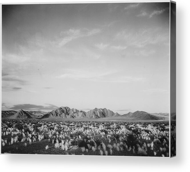 California Acrylic Print featuring the photograph Near Death Valley National Monument by Buyenlarge