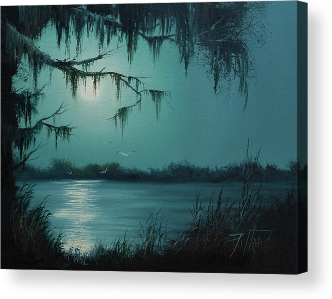 Landscape Acrylic Print featuring the painting Night Flight by Lynne Pittard