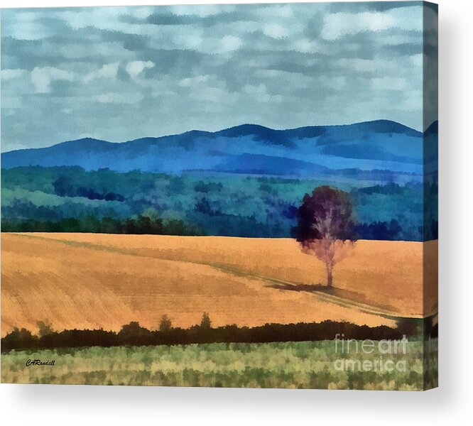 Field Acrylic Print featuring the photograph Out Standing In My Field by Carol Randall