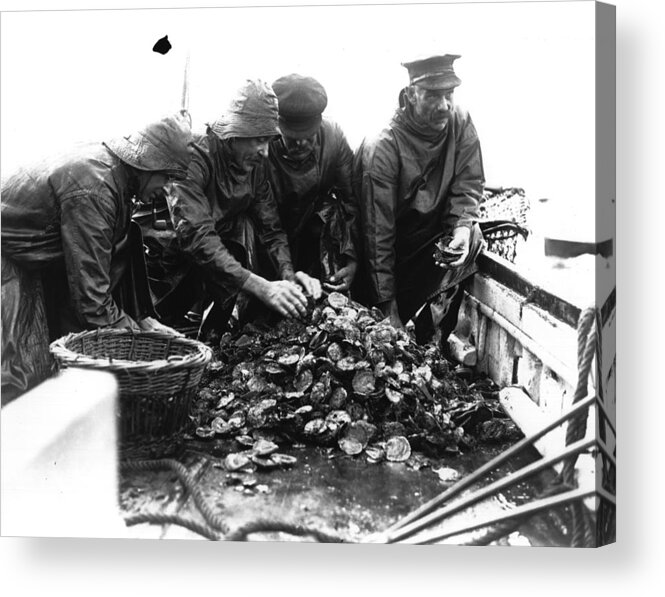 Sports Helmet Acrylic Print featuring the photograph Oyster Fishing by Fox Photos