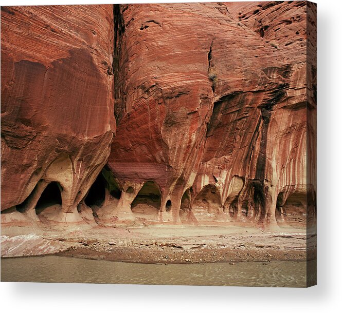 Arizona Acrylic Print featuring the photograph Paria Red Wall by Tom Daniel