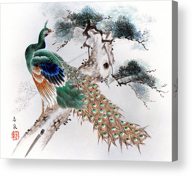 Japan Acrylic Print featuring the painting Peacock by Shisen