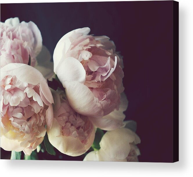 Peony Acrylic Print featuring the photograph Peony Three by Lupen Grainne