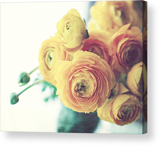 Persian Buttercup Acrylic Print featuring the photograph Persian Buttercup by Lupen Grainne