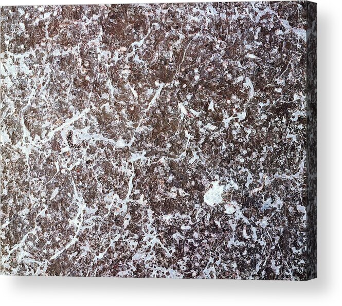 Close-up Acrylic Print featuring the photograph Photography Of Limestone, Stone by Daj