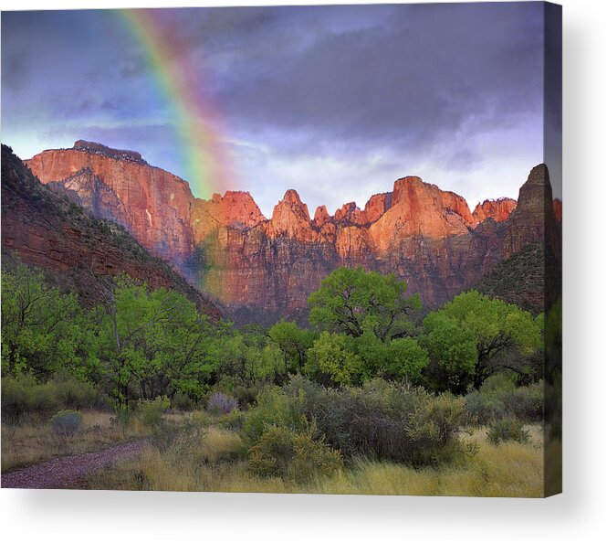 00586194 Acrylic Print featuring the photograph Rainbow At Towers Of The Virgin, Zion National Park, Utah by Tim Fitzharris