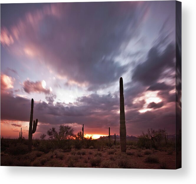 Saguaro Cactus Acrylic Print featuring the photograph Saguaro Sunset by Norm Cooper