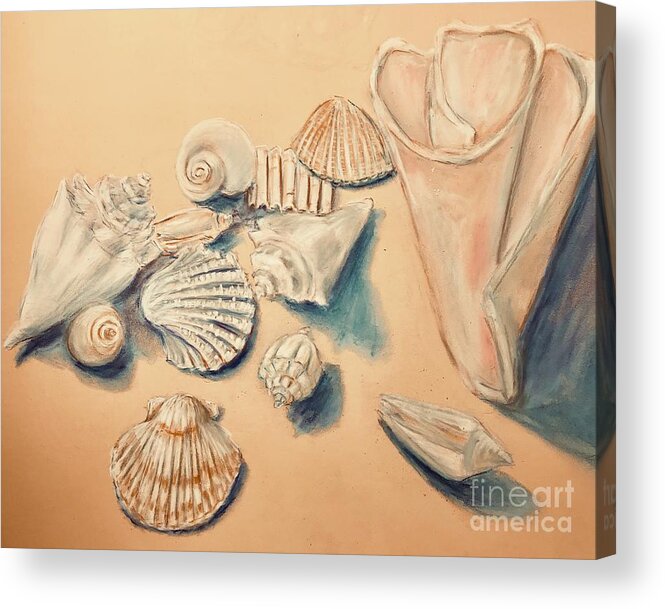 Pastel Drawing On Paper Of Sea Shells Acrylic Print featuring the pastel Sea Shells Pastel Drawing by Lavender Liu