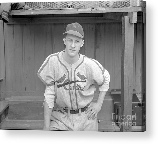 St. Louis Cardinals Acrylic Print featuring the photograph Stanley Musial Outfielder For Cardinals by Bettmann