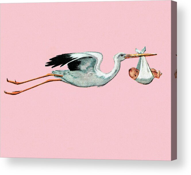 Animal Acrylic Print featuring the drawing Stork delivery by CSA Images