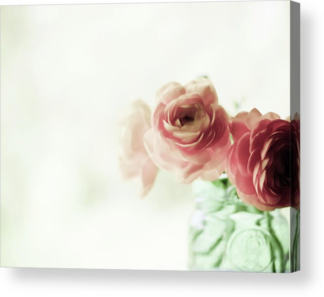 Ranunculus Acrylic Print featuring the photograph Sugar Baby by Lupen Grainne