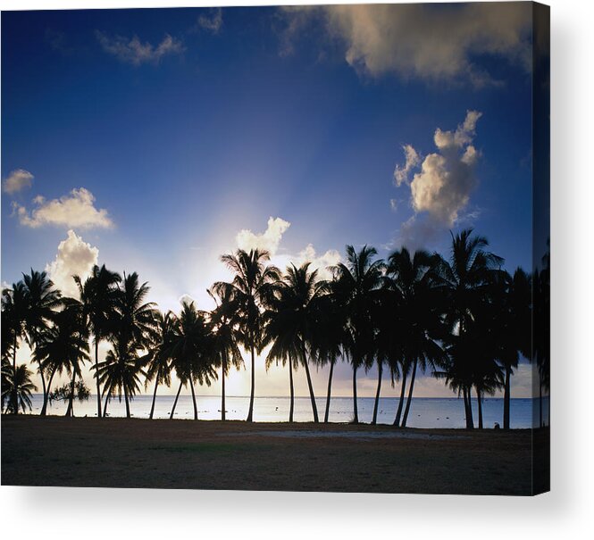 Nature Acrylic Print featuring the photograph Sun Setting Behind Palm Tree Lined by Manfred Gottschalk