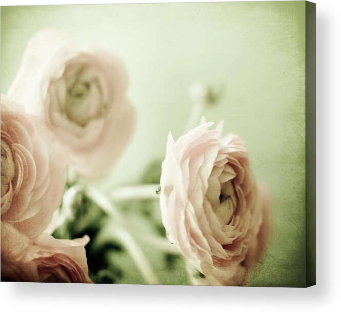 Shabby Chic Acrylic Print featuring the photograph Sweet Nothings by Lupen Grainne