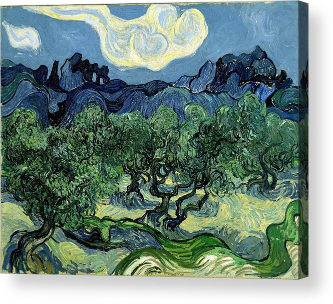Trees Acrylic Print featuring the photograph The Olive Trees, 1889 - Painting by Antiquarian Images