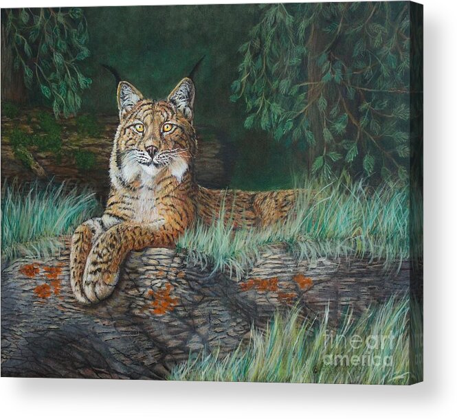 Cat Acrylic Print featuring the painting The Wild Cat by Bob Williams