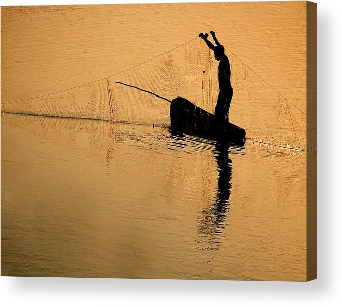 Net Acrylic Print featuring the photograph Tim by Wildphotoart