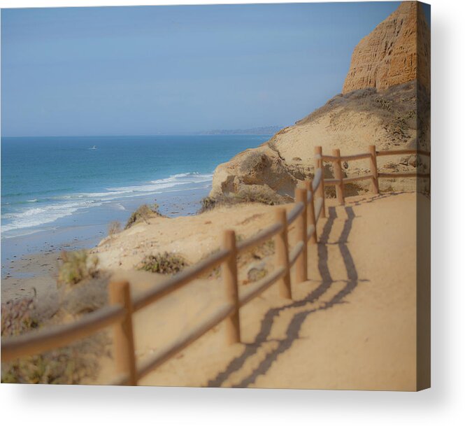 Torrey Pines State Park Acrylic Print featuring the photograph Torrey Pines Cliff Ocean View by Catherine Walters