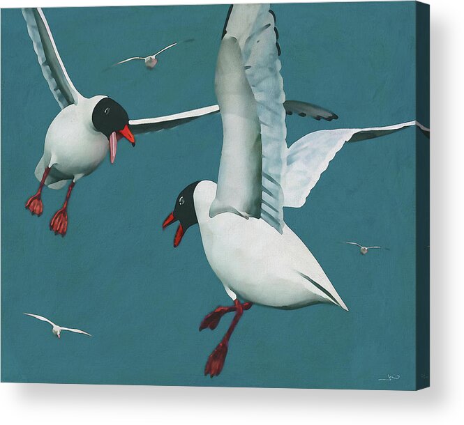 Animal Acrylic Print featuring the digital art Two Black Seagulls fighting in their natural habitat by Jan Keteleer