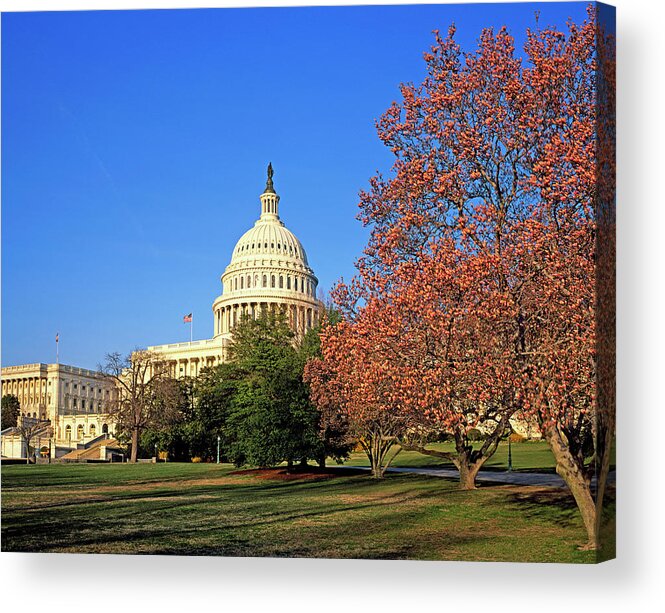 Grass Acrylic Print featuring the photograph Us Government Building by Murat Taner