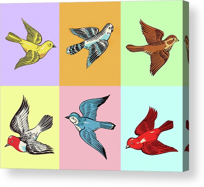 Animal Acrylic Print featuring the drawing Various Birds in Squares by CSA Images