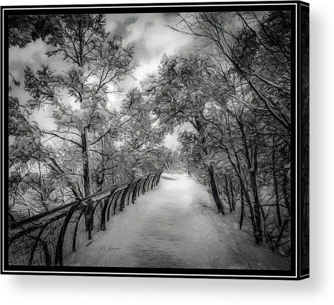 Arizona Acrylic Print featuring the photograph Walk this Way by Will Wagner