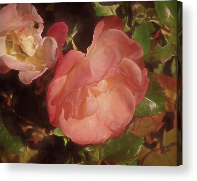 Rose Acrylic Print featuring the mixed media Weeping Rose by Lynda Lehmann