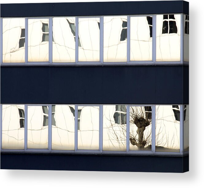 Street Acrylic Print featuring the photograph Willow In A Window by Jef Flour