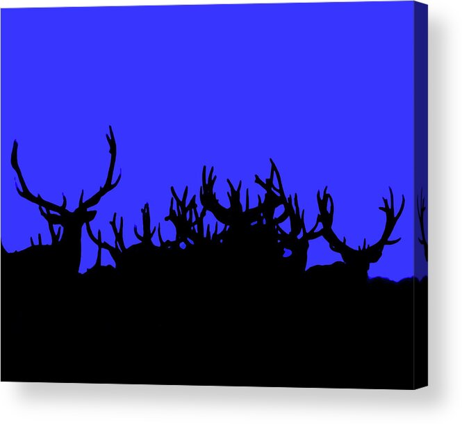 Elk Acrylic Print featuring the photograph Antlers At Dawn #2 by Gary Beeler