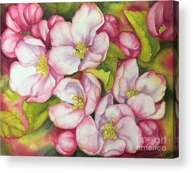 Apple Blossoms Acrylic Print featuring the painting Apple blossoms #1 by Inese Poga
