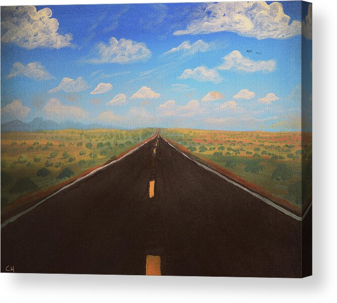 Arizona Acrylic Print featuring the photograph Arizona Highway 77 by Chance Kafka