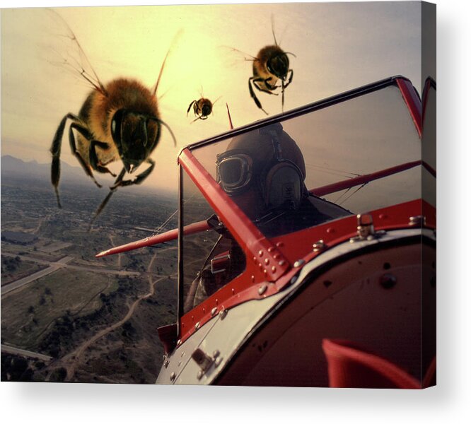 Fantasy Acrylic Print featuring the photograph Bee Attack 2 by Jim Painter
