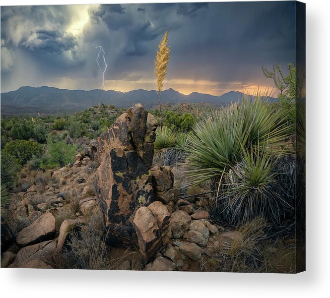 Arizona Acrylic Print featuring the photograph Elemental Arizona #1 by Steve Berkley