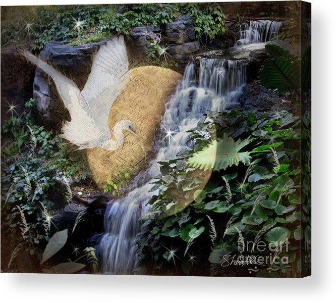Sharaabel Acrylic Print featuring the photograph Harmony in Nature by Shara Abel