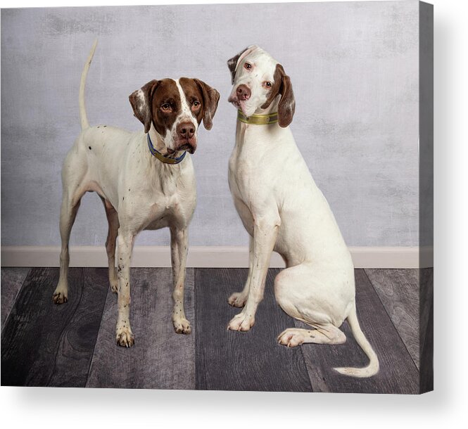  Acrylic Print featuring the photograph Together #1 by Rebecca Cozart