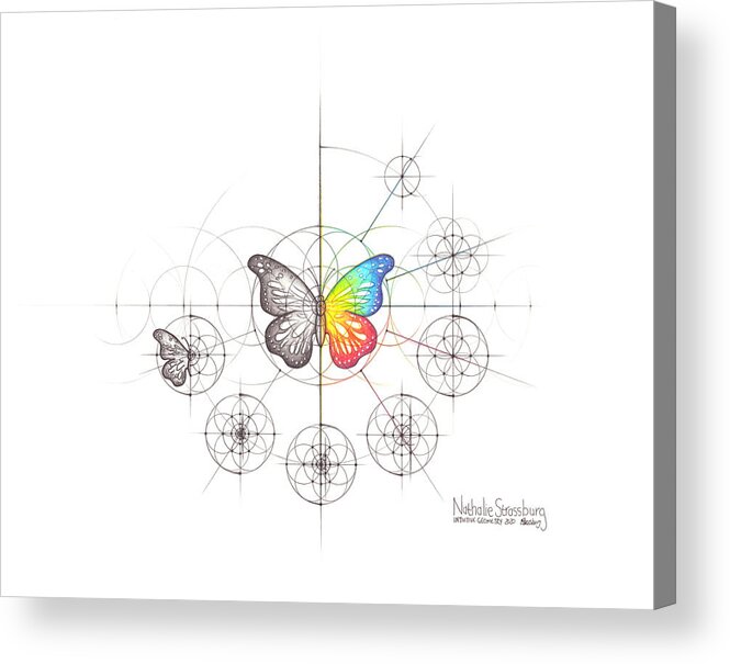 Butterfly Acrylic Print featuring the drawing Intuitive Geometry Butterfly #2 by Nathalie Strassburg