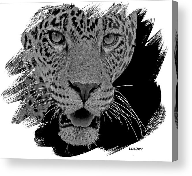 Jaguar Acrylic Print featuring the digital art Jaguar #2 by Larry Linton