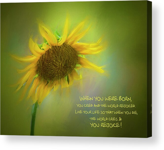 Sunflower Acrylic Print featuring the photograph Sunflower by Cathy Kovarik