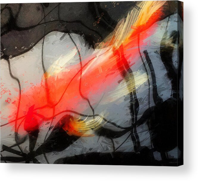 Koi Acrylic Print featuring the photograph Solo Sumi Koi by Vicki Hone Smith