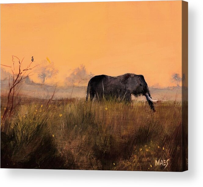 Elephant Acrylic Print featuring the painting African Elephant on the plains by Walt Maes
