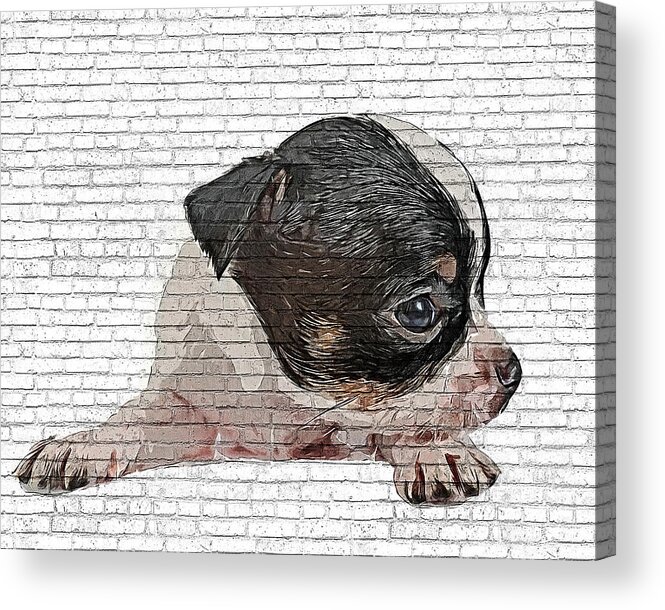 Angel Acrylic Print featuring the painting An Angel, Black and White Chihuahua Dog Puppy - Brick Block Background by Custom Pet Portrait Art Studio