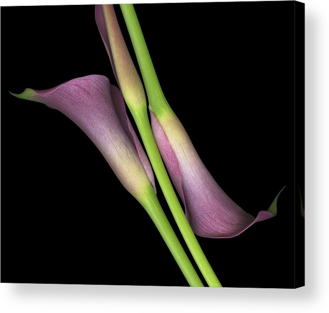 Abstract Images Acrylic Print featuring the photograph Angular Alignment by Marsha Tudor