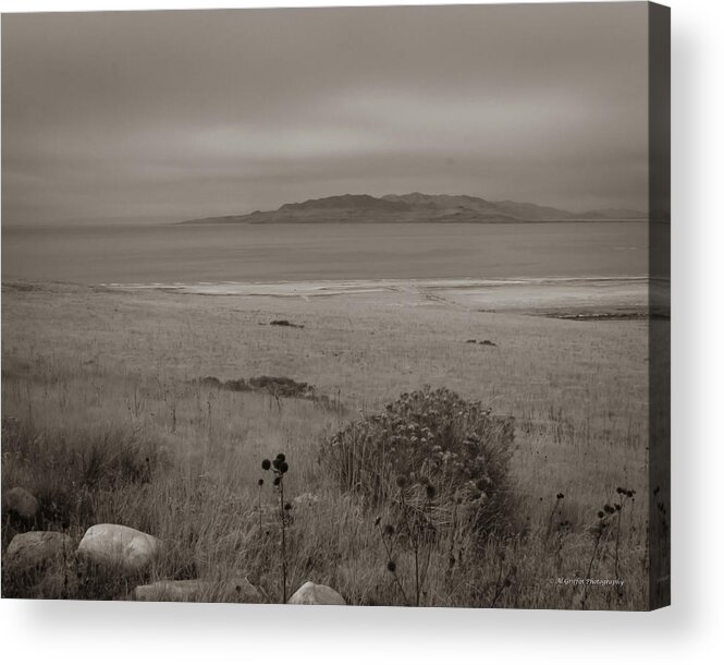 Antalope Island Acrylic Print featuring the photograph Antelope Island in Sepia by Al Griffin