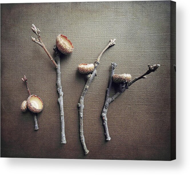 Still Life Photography Acrylic Print featuring the photograph Autumn Gifts by Lupen Grainne