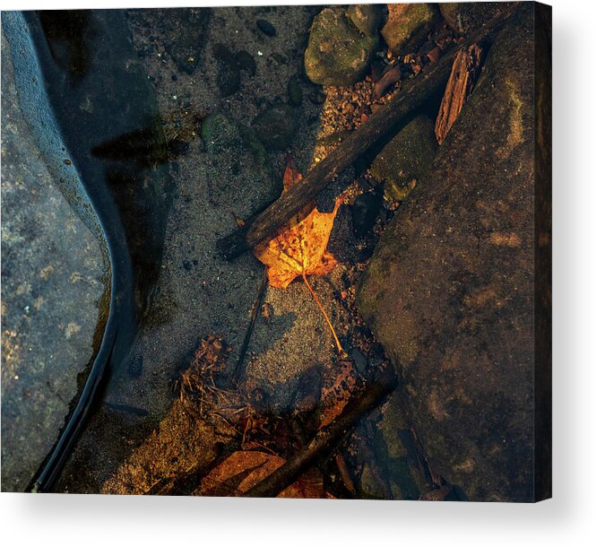 Autumn Acrylic Print featuring the photograph Autumn Under Water by Amelia Pearn
